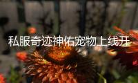 私服奇迹神佑宠物上线开启4月全新冒险旅程