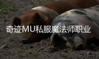 奇迹MU私服魔法师职业发展趋势与版本适应性