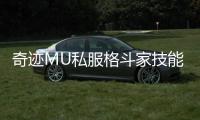 奇迹MU私服格斗家技能连招教学打造最强输出组合